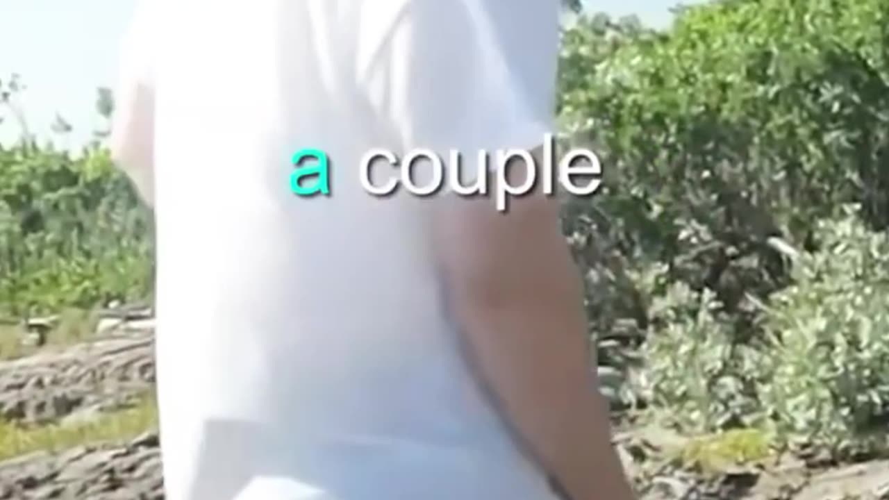 How MrBeast Truly Donates Islands