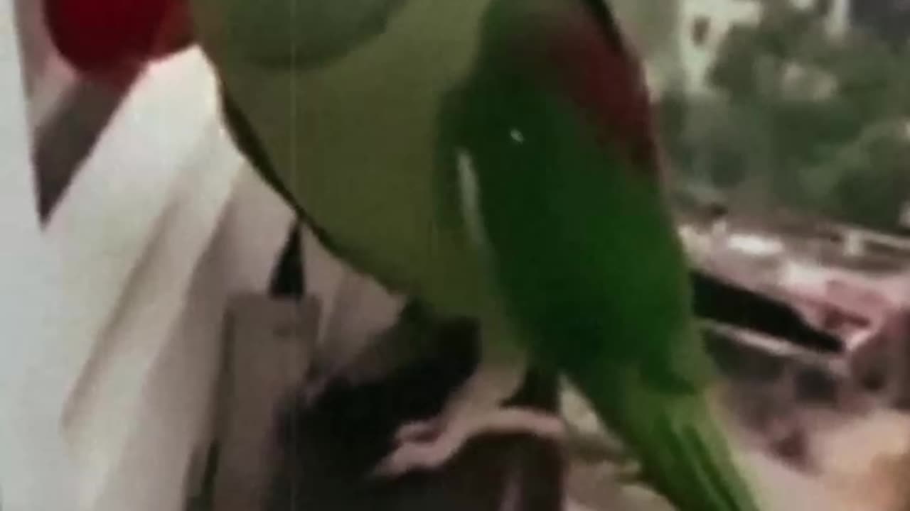 When you came late night home