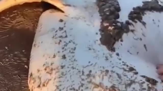 OMG!