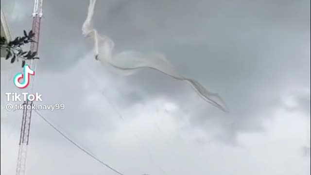 Weird thing, Vietnam