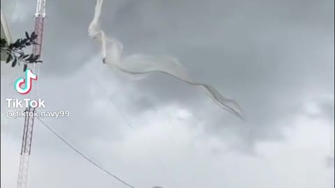 Weird thing, Vietnam