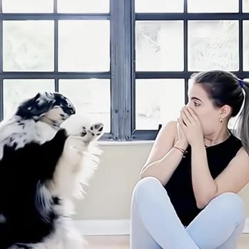 Animals are human's friend ️❤️.