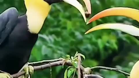 Nature does not hurry, yet everything is accomplished