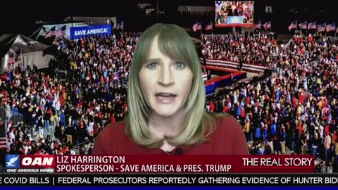 Liz Harrington: “So what should be next for them? They should be resigning."