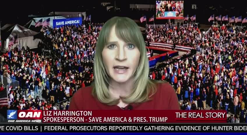 Liz Harrington: “So what should be next for them? They should be resigning."