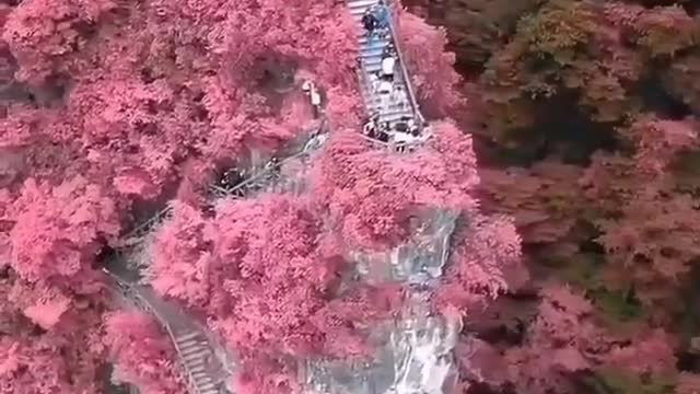 Incredible beauty.