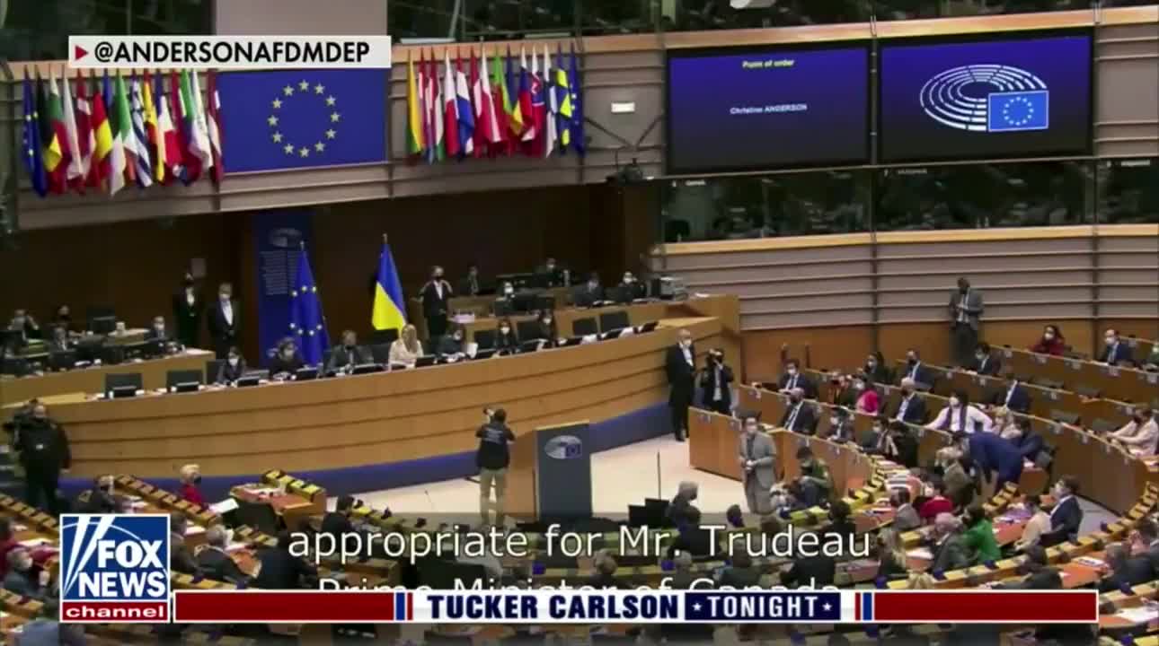 Memebers of European Parliament slam Justin Trudeau over his handling of the Freedom Convoy