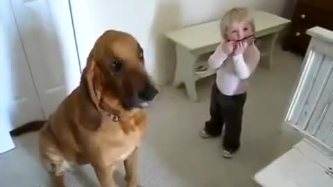 Dog and baby sing together with harmony