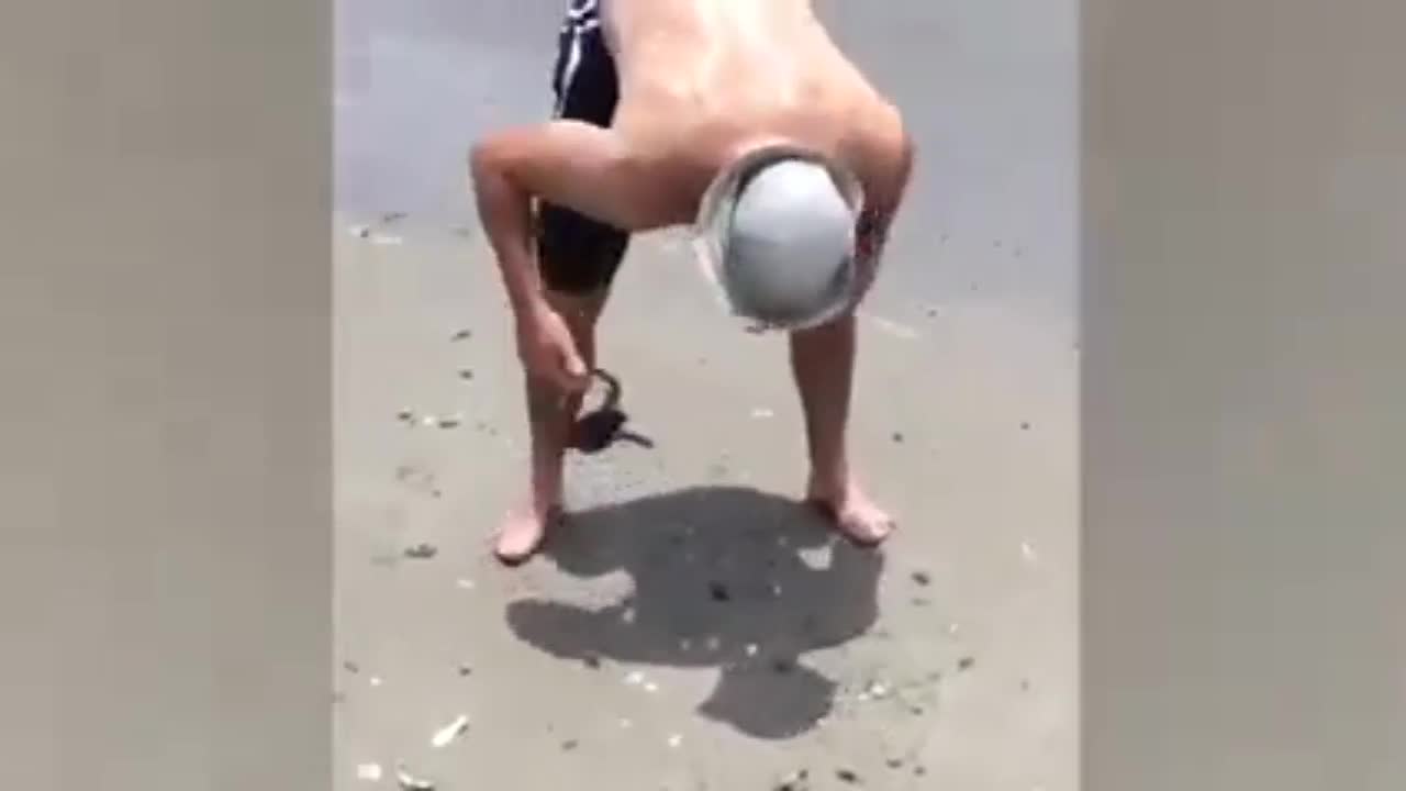 sudden reactions human with animals compilation