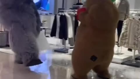 predatory monkey