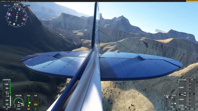 Carbon Cub Grand Canyon View from the Tail