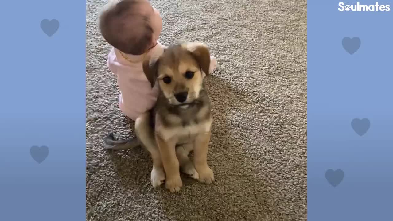 This Puppy And Baby Sister Are Perfectly In Sync With Everything They Do | The Dodo Soulmates