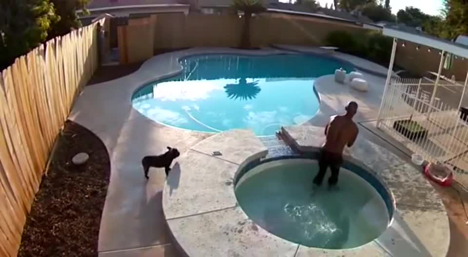 All dogs can't swim: here is the proof