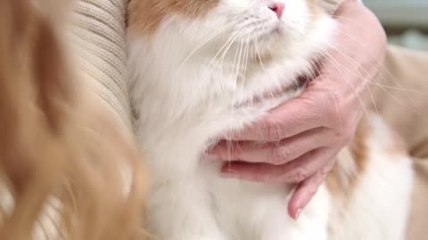 a-woman-with-her-cat-on-the-bed-