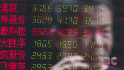 China’s Stock Market in Free Fall