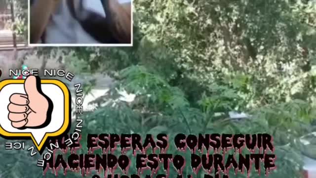 Es un vídeo para valorar y aconsejar tu pérdida de tiempo en el celular