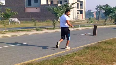 Street cricket