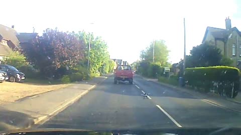 Dog playing the back of a moving pickup truck.