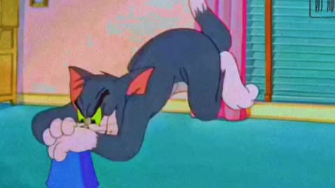 Tom and Jerry funny videos