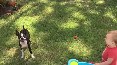 Baby and puppy play happily together