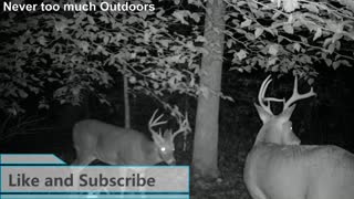 Trail Cam Photos September and October 2020