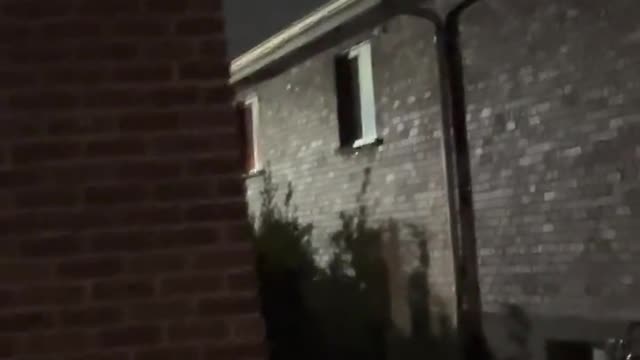 Are They Aliens.....??? Scary