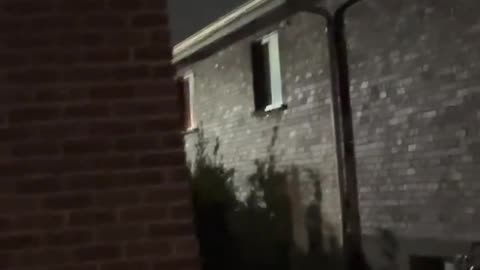 Are They Aliens.....??? Scary