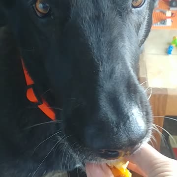 A boy named sue eatin smacks