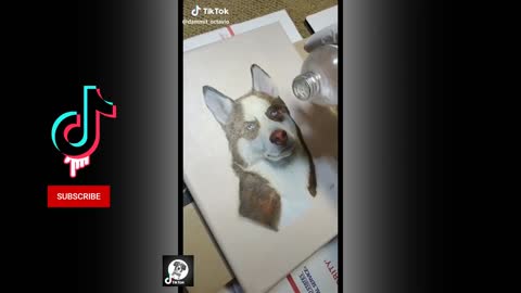 Cute and funny Husky dog