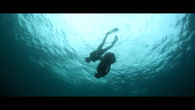 Diving in the Ocean