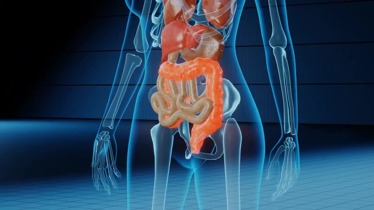 5 most important organs in the Human body - Human Anatomy - Physiology of Human Body | wowvideos