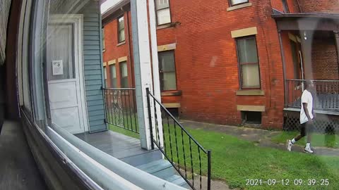 Backyard Nigro Trespisser