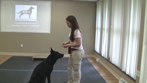 Dog training video