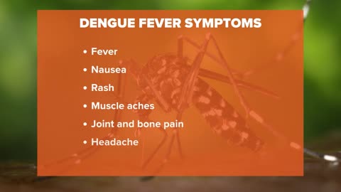 Texas reports first locally transmitted case of Dengue virus