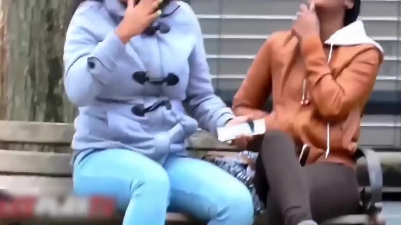 Funny Videos