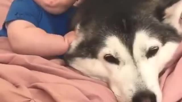 The story of a friendship