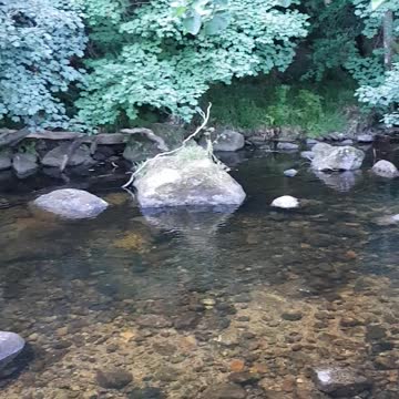 A place to dip your toe in. Dartmeat. Dartmoor