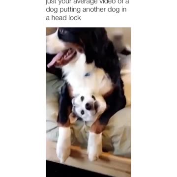 When love knows no bounds. Tag that person.