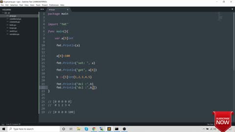 go programming
