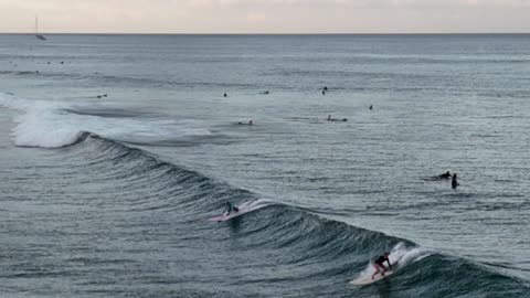 Chelsie at the Ala Wai 2024-05-26 Sunday 2-4'