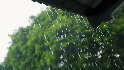 Sounds of the rain!