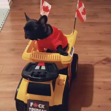 We got a little convoy