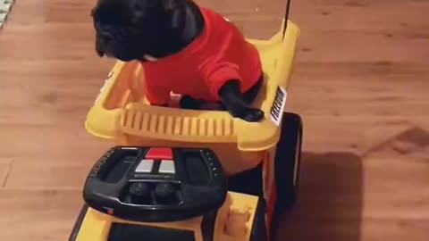 We got a little convoy