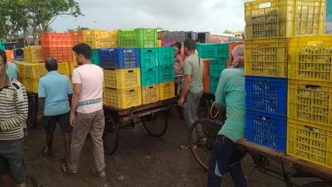 Digha mohana holsale fish market