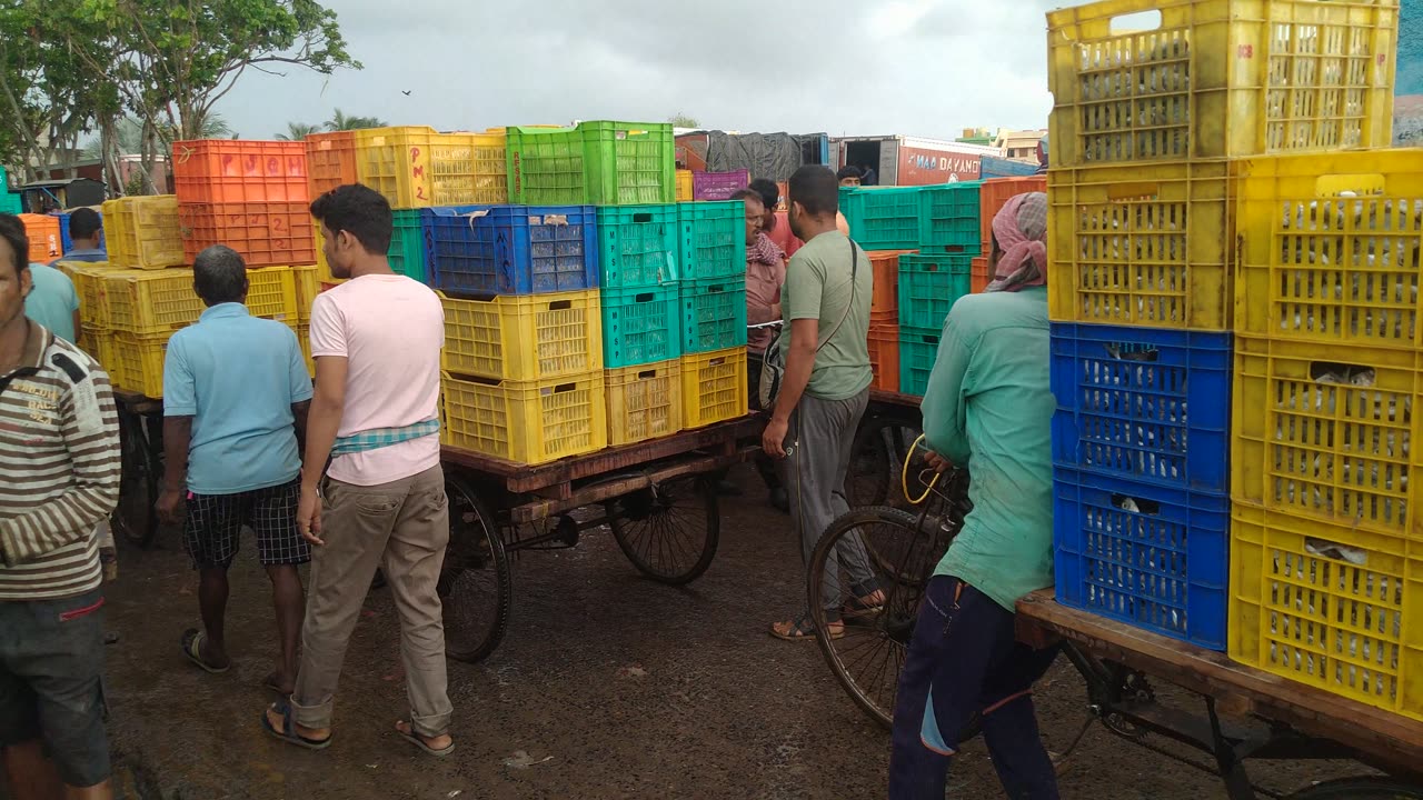 Digha mohana holsale fish market