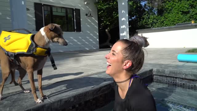 Awesome dog is learning swim by beautiful lady.