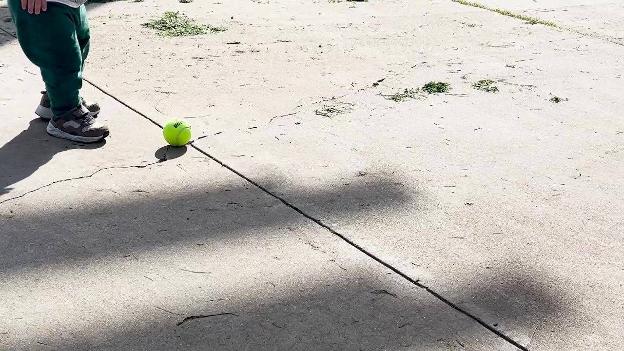 When Your Toddler Finds a Tennis Ball