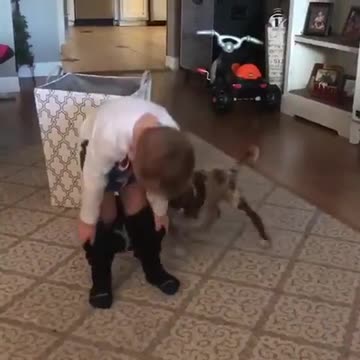 Cachorro juega a la cinchada con el pañal de un pequeño