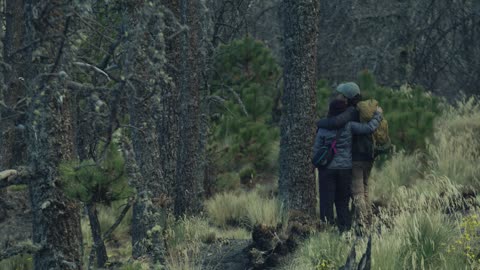 Lovers walking through a forest