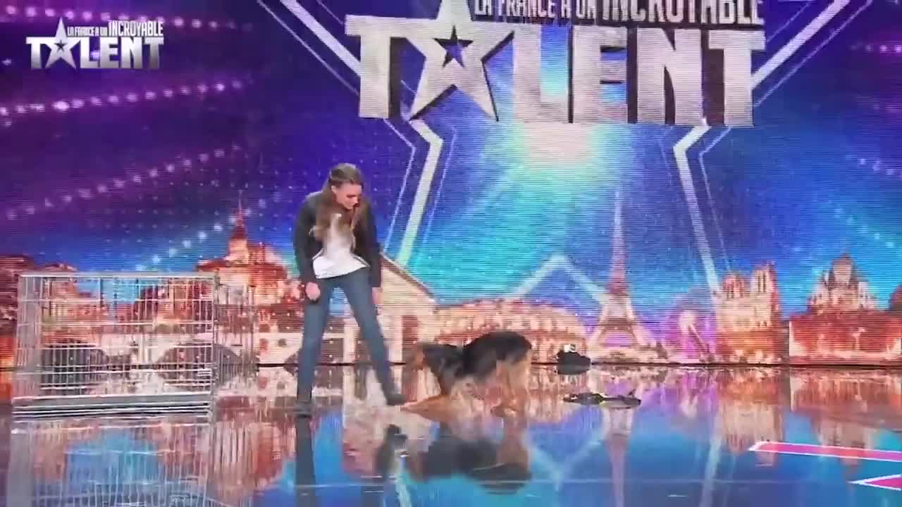 The Best Dog Auditions EVER On Got Talent From Around The World